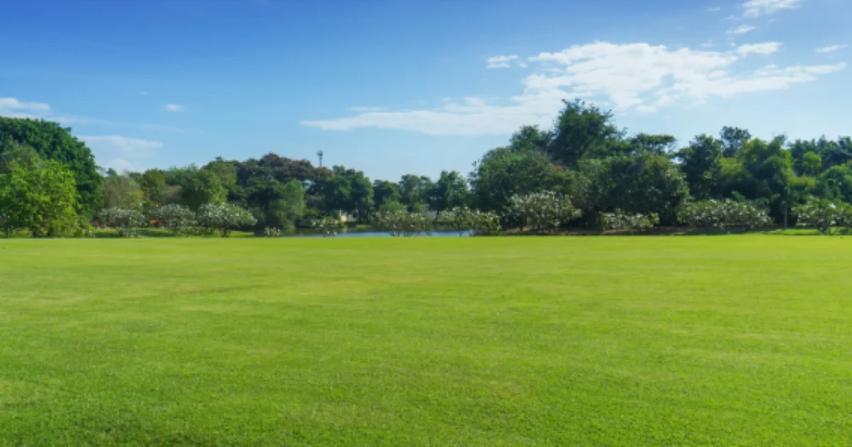 Wide view of a large grassy park field with trees and blue sky in the background.